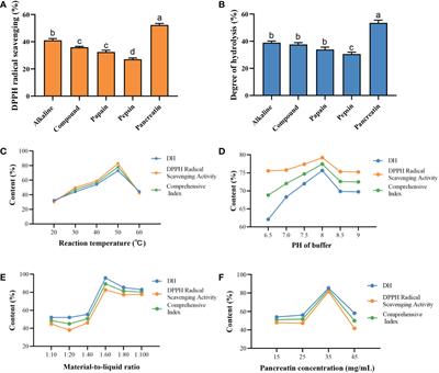 Three novel antioxidant peptides isolated from C-phycocyanin against H2O2-induced oxidative stress in zebrafish via Nrf2 signaling pathway